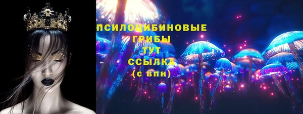 винт Армянск