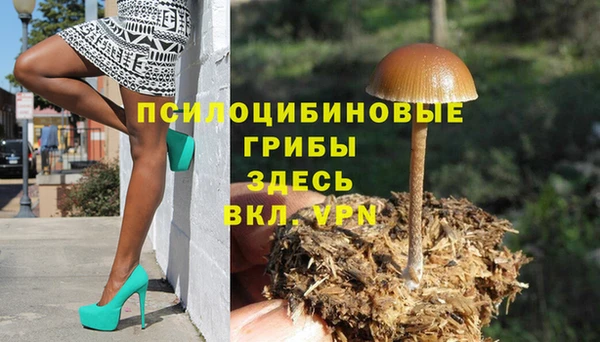 шишки Балабаново